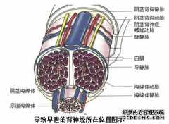 常熟早泄医院哪家好.
